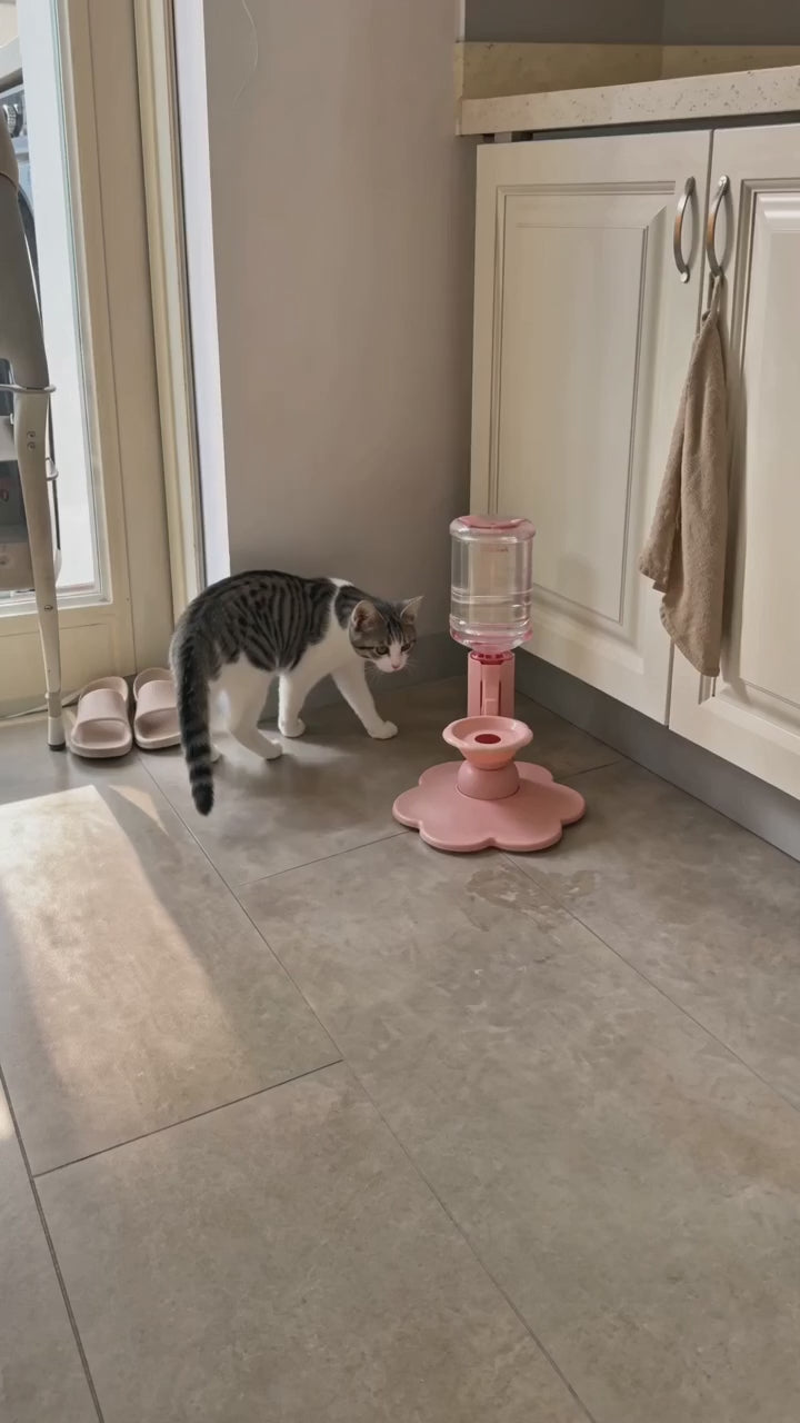 CatGravity™ - Automatic Silent Water Fountain